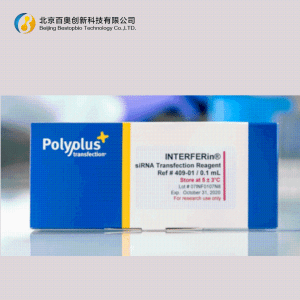 Polyplus siRNA/miRNA转染试剂INTERFERin®(101000028)现货供应