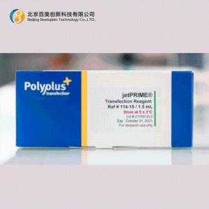 Polyplus通用型DNA/siRNA转染试剂jetPRIME®(101000046/101000027)现货供应