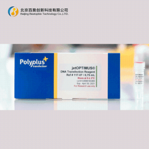 Polyplus DNA转染试剂jetOPTIMUS® (101000006/101000051)现货供应