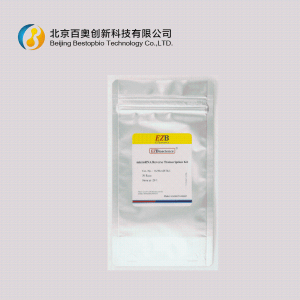 EZBioscience microRNA逆转录试剂盒(EZB-miRT4）现货供应