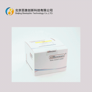 EZBioscience8分钟RNA快速提取试剂盒(B0004DP)现货供应