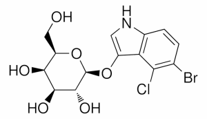5-溴-4-氯-3-吲哚-β-D-吡喃半乳糖苷 x-Gal  cas号7240-90-6厂家现货 产品图片