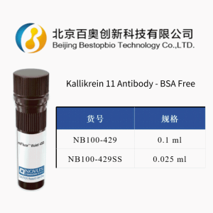 Novus Kallikrein 11兔多抗(NB100-429)现货供应