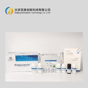 Elabscience猪TNF-α Elisa试剂盒(E-EL-P0010c)现货供应