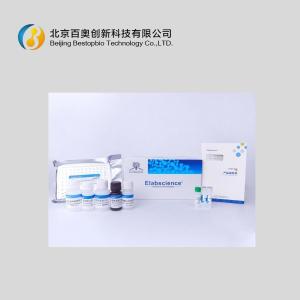 Elabscience小鼠TNF-β Elisa试剂盒(E-EL-M1210c)现货供应