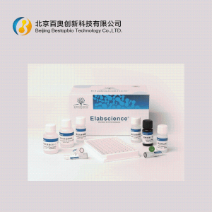 Elabscience大鼠IL-18 Elisa试剂盒(E-EL-R0567c)现货供应