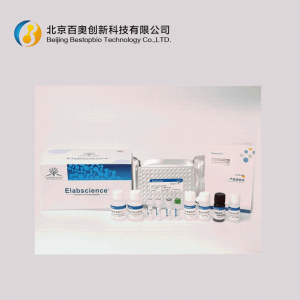 Elabscience小鼠高敏IL-17A Elisa试剂盒(E-HSEL-M0005)现货供应