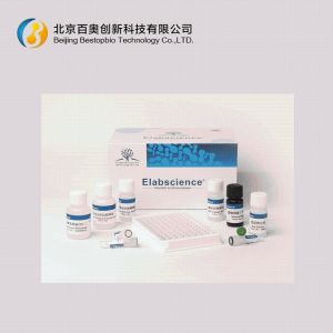 Elabscience小鼠高敏IL-10 Elisa试剂盒(E-HSEL-M0004)现货供应