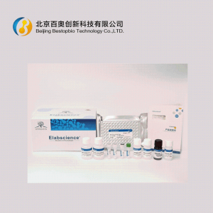 Elabscience小鼠高敏IL-6 Elisa试剂盒(E-HSEL-M0003)现货供应