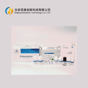 Elabscience大鼠高敏IL-6 Elisa试剂盒(E-HSEL-R0004)现货供应