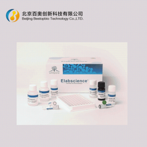 Elabscience MS小鼠IL-10 Elisa试剂盒(E-MSEL-M0031)