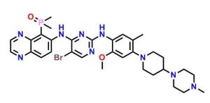 Egfr-IN-7(TQB3804 )  CAS号:2267329-76-8科研专用 质量保证 高校及研究所支持货到付款