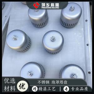 萍乡科隆生产  硝基氯苯分离及乙烯氧化吸收用不锈钢泡罩 产品图片
