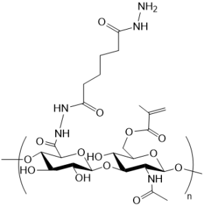 MA-HA-ADH 甲基丙烯酸酯-透明质酸-己二酸二酰肼