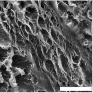 HS-Silk Fibroin SF-SH硫醇修饰丝素蛋白 Silk Fibroin-SH