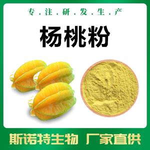 杨桃粉 斯诺特生物 固体饮料代餐粉常用原料 一公斤起订 产品图片