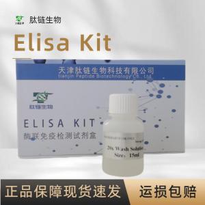 人甲状腺球蛋白 TG ELISA试剂盒