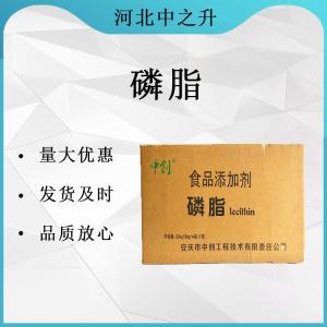 現貨供應磷脂 食品級營(yíng)養增補劑磷脂 大豆磷脂