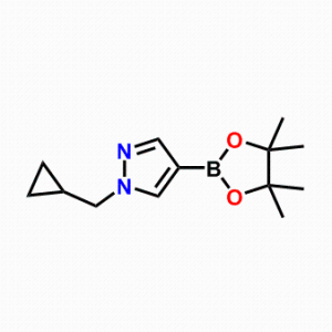 1-(环丙基甲基)-4-(4,4,5,5-四甲基-1,3,2-二噁硼烷-2-基)-1H-吡唑，1000801-75-1