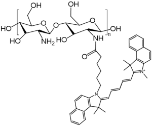 Chitosan-Cy5.5 活体花菁染料Cy5.5修饰壳聚糖