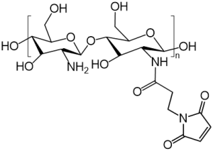 Mal-Chitosan 硫醇（-SH）反应基团马来酰亚胺偶联壳聚糖