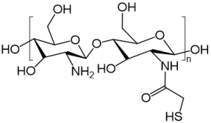 SH-Chitosan 硫醇偶联壳聚糖 Thiol-Chitosan 硫醇化壳聚糖