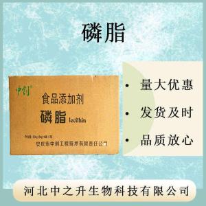 磷脂 批發(fā)供應 食品級營(yíng)養增補劑 量大從優(yōu) 磷脂