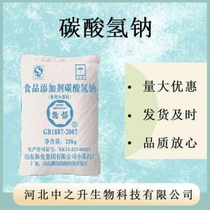 碳酸氫鈉國標食品級小蘇打 污水處理碳酸氫鈉99%脫硫脫硝劑小蘇打