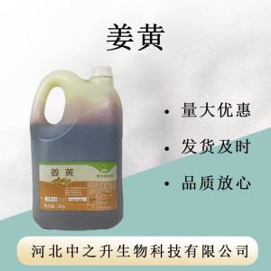 食品級健康營(yíng)養食品原料姜黃提取物 95%姜黃素