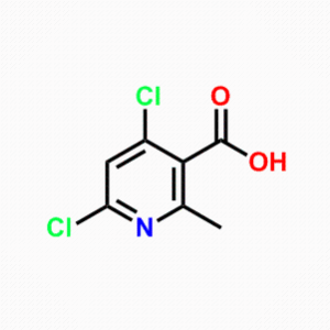 2-甲基-4,6-二氯烟酸，CAS号：693286-31-6科研产品，现货供应，高校及研究所，先发后付，质量保证！！！
