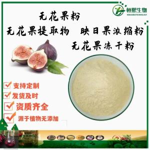 无花果粉 映日果浓缩粉SC无花果提取物 无花果冻干粉