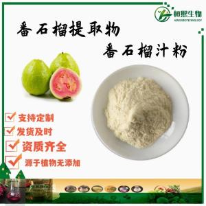 番石榴果汁粉 芭乐果粉 番石榴提取物