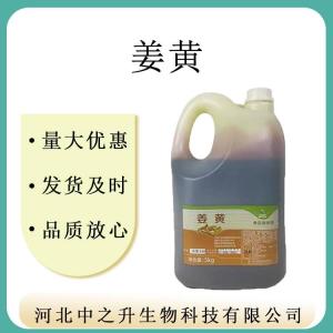 現貨批發(fā)供應食品級黃色素姜黃色素姜黃素一公斤一袋