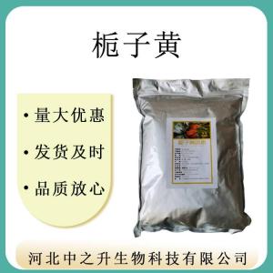 供應批發(fā)天然色素 梔子黃色素 梔子黃 量大從優(yōu) 原料