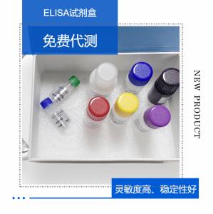 人β2微球蛋白(BMG/β2-MG)ELISA试剂盒 产品图片