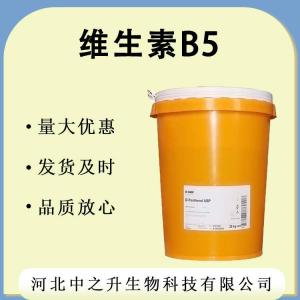 批發(fā)供應(yīng) 維生素B5 食品級(jí) 維生素b5 營養(yǎng)強(qiáng)化劑 1kg起批維生素B5