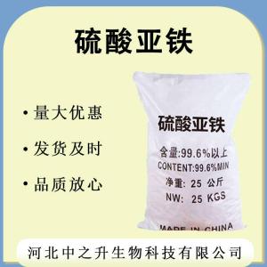 硫酸亞鐵  食品級硫酸亞鐵 現貨批發(fā)