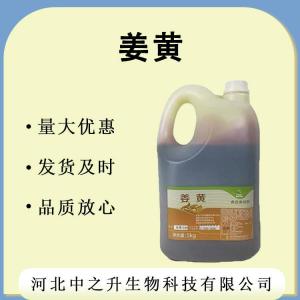 現貨批發(fā)姜黃色素 食品添加色素原料 肉類(lèi)著(zhù)色劑 量大從優(yōu)姜黃色素