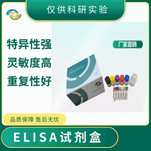 小鼠（Mouse）磷鞘脂（SM）ELISA检测试剂盒