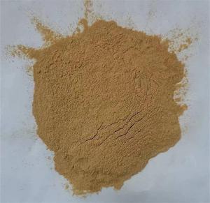 假叶树皂甙/苷5%10%20% 假叶树提取物 斯诺特生物 定制拿样