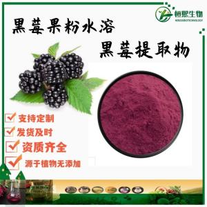 黑莓提取物 水溶黑莓果粉 黑覆盆子浓缩粉 黑莓花青素dewberry