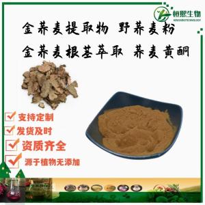 金荞麦提取物 野荞麦粉 金荞麦根茎萃取 荞麦黄酮