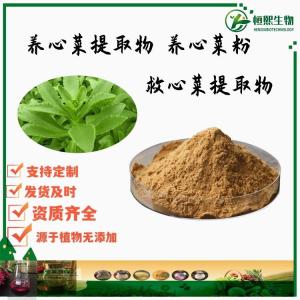 养心菜提取物 养心菜粉 高比例萃取  救心菜提取物
