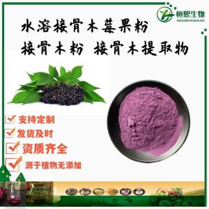 接骨木莓粉 水溶接骨木莓果粉 接骨木粉 接骨木提取物