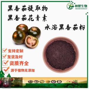 黑番茄提取物 水溶黑番茄粉 黑柿子提取物 黑番茄花青素