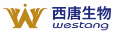 WB实验 产品图片