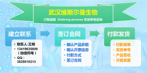 A环降解物 CAS:64053-02-7 中间体试剂 维斯尔曼生物现货促销