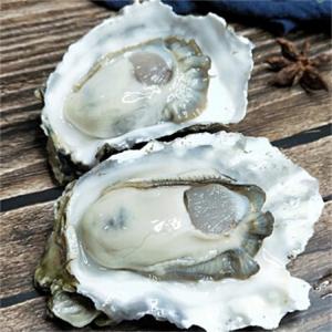 牡蛎肽 小分子固体饮料 斯诺特生物拿样定制