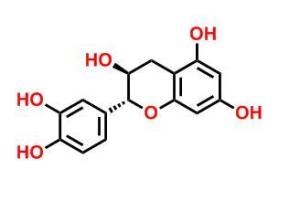 (+)-儿茶素 CAS号:154-23-4 现货供应 量大从优 高校及研究所 先发后付