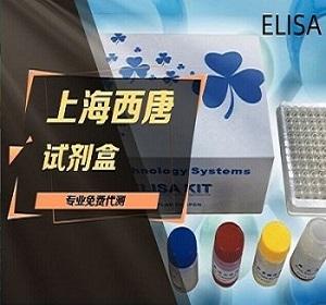 小鼠ELISA试剂盒 产品图片